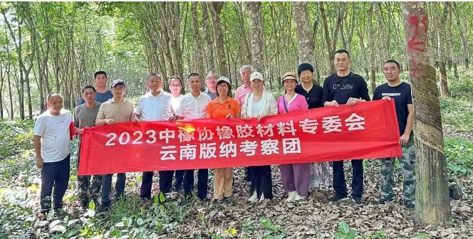在座談會(huì)上，勐臘縣農(nóng)墾集團(tuán)黨委書記、董事長(zhǎng)、總經(jīng)理羅義凱熱情歡迎考察團(tuán)，并向他們介紹了勐臘農(nóng)墾集團(tuán)的改革和發(fā)展情況。他表示，勐臘農(nóng)墾集團(tuán)目前正在深化“墾區(qū)集團(tuán)化，農(nóng)場(chǎng)企業(yè)化”改革，積極融入地方經(jīng)濟(jì)發(fā)展，聚焦主責(zé)主業(yè)，承擔(dān)保障國(guó)家天然橡膠戰(zhàn)略資源安全的重要任務(wù)，推動(dòng)農(nóng)業(yè)全產(chǎn)業(yè)鏈建設(shè)，致力于打造現(xiàn)代農(nóng)業(yè)的大企業(yè)、大產(chǎn)業(yè)和大基地。