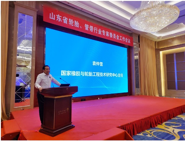 國家橡膠與輪胎工程技術研究中心主任袁仲雪對企業(yè)的國際化戰(zhàn)略發(fā)展進行了深入分析