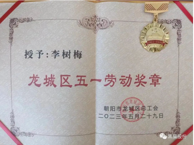 李樹梅同志在她的工作崗位上展現(xiàn)出了杰出的能力和卓越的業(yè)績(jī)。作為公司中層干部，她始終將公司利益置于首位，并不斷提升自己的專業(yè)水平。她通過(guò)努力學(xué)習(xí)，先后取得了管理學(xué)和工學(xué)學(xué)士學(xué)位，并獲得了經(jīng)濟(jì)師、機(jī)電工程師、電子工程師和化工助理工程師等多個(gè)職業(yè)資格證書。在她的帶領(lǐng)下，市級(jí)職工職業(yè)技能培訓(xùn)基地得以成立，為公司培養(yǎng)了更多的技術(shù)人才。
