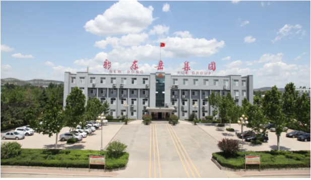 這次會議為新東岳集團公司的高級管理人員提供了一個交流和總結(jié)的平臺，以進一步推動企業(yè)的高效運營。