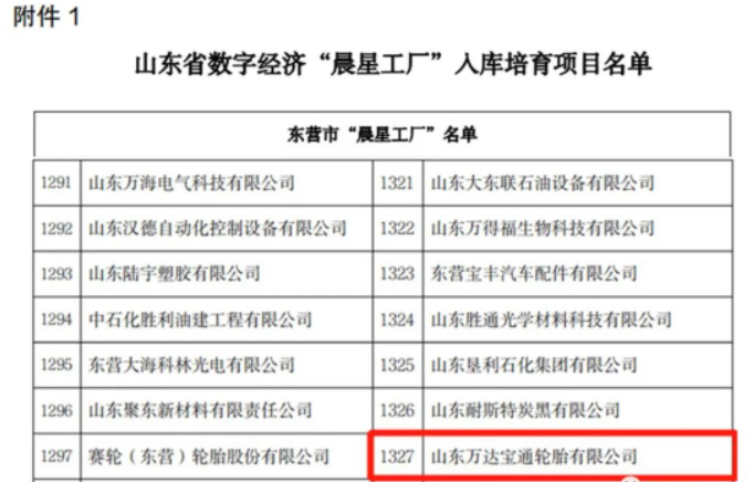山東省工業(yè)和信息化廳近日發(fā)布了《關于開展數(shù)字經濟“晨星工廠”入庫培育工作的通知》。山東萬達寶通輪胎有限公司憑借其先進的生產制造技術和產業(yè)智能化系統(tǒng)的優(yōu)勢，成功入選該計劃。這也是該公司為推動數(shù)字經濟發(fā)展，加快傳統(tǒng)制造業(yè)數(shù)字化、智能化轉型升級工作所獲得的又一榮譽。