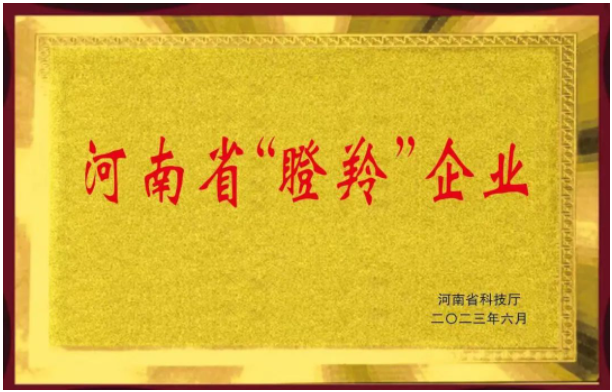 恒力橡塑股份有限公司的入選不僅證明了該公司在橡膠助劑領(lǐng)域的突出成就，同時(shí)也彰顯了河南省在科技創(chuàng)新和高新技術(shù)企業(yè)培育方面的努力。