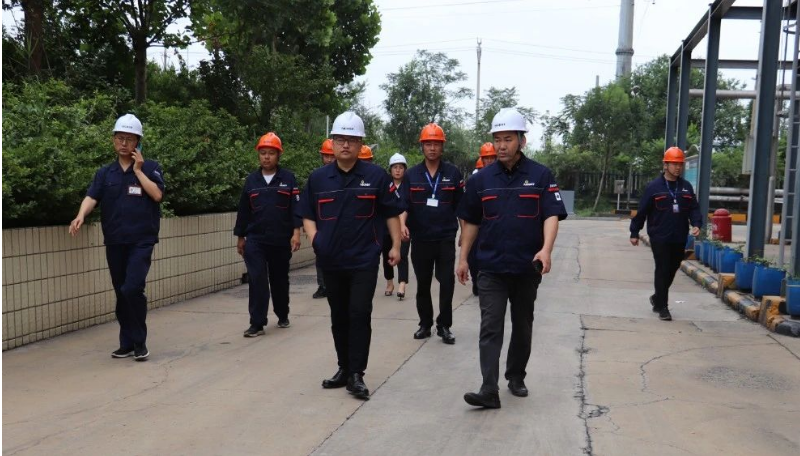 通過這次專項(xiàng)檢查，耐斯特炭黑公司進(jìn)一步鞏固了對安全生產(chǎn)和環(huán)保工作的重視，并為未來持續(xù)發(fā)展提供了有力保障。