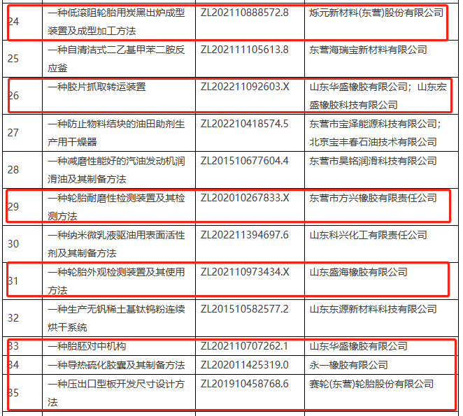 該名單的公示期為6月27日至7月4日，由東營(yíng)市高價(jià)值專利評(píng)審委員會(huì)辦公室組織開(kāi)展。