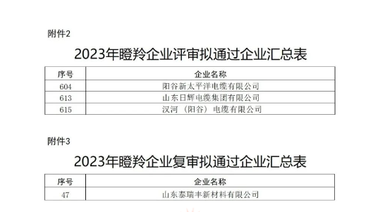 山東省工業(yè)和信息化廳在本次認(rèn)定工作中嚴(yán)格按照相關(guān)文件規(guī)定的程序和標(biāo)準(zhǔn)進(jìn)行評選，充分尊重市場主體自愿申報(bào)的原則，注重專家評審和第三方信用評級的公正性與權(quán)威性，確保了認(rèn)定結(jié)果的準(zhǔn)確性和公信力。