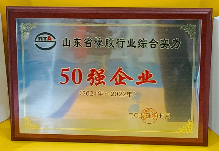 萬達寶通輪胎表示將繼續(xù)以客戶的青睞為動力，把握此次展會的契機，以消費者的需求為中心，不斷提高自主創(chuàng)新能力，優(yōu)化產品結構，進一步夯實高質量發(fā)展的基礎。公司致力于提供高質量、高標準、高性價比的產品，為全球用戶提供更安全舒適的駕乘體驗。