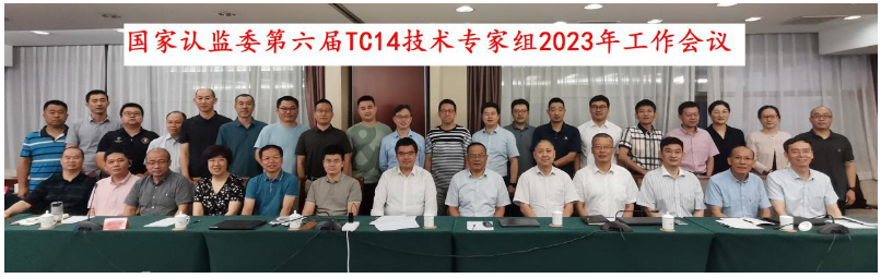 會(huì)議主要聚焦于新版方法標(biāo)準(zhǔn)GB/T521-2023、GB/T4501-2023、GB/T4502-2023的換版要求，以及輪胎滾動(dòng)阻力、濕路面相對(duì)抓著性能的納入GB 9743、GB 9744發(fā)布實(shí)施后輪胎CCC認(rèn)證實(shí)施方案。同時(shí)，專(zhuān)家們還深入探討了在認(rèn)證檢測(cè)實(shí)施過(guò)程中所面臨的技術(shù)難題。