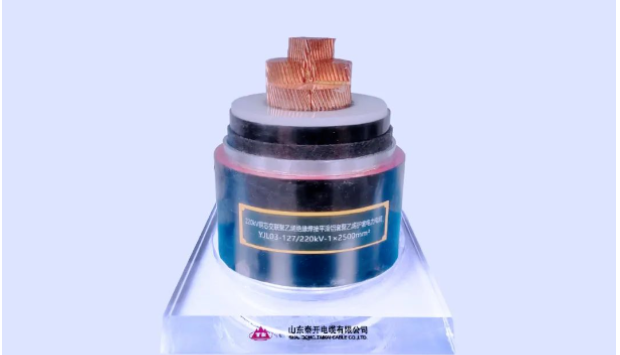 展望未來，泰開電纜表示將繼續(xù)發(fā)揮科研平臺(tái)在關(guān)鍵技術(shù)攻關(guān)、科技成果轉(zhuǎn)化、創(chuàng)新人才培養(yǎng)、產(chǎn)學(xué)研協(xié)同發(fā)展等方面的重要作用，力爭(zhēng)實(shí)現(xiàn)新產(chǎn)品、新技術(shù)、新工藝方面的再突破，助力行業(yè)和產(chǎn)業(yè)鏈的協(xié)同發(fā)展!