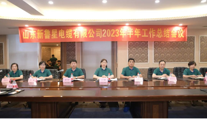 王紅梅最后強調(diào)信心的重要性，她鼓勵團隊在逆境中堅定戰(zhàn)勝困難的信心，相信魯星團隊具備了勇于沖鋒的精神和打硬仗、打勝仗的能力，相信魯星團隊定能戰(zhàn)勝二次創(chuàng)業(yè)道路上的一切困難。