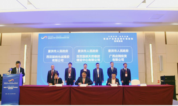 本次活動的主題為“開放共享 合作共贏”，吸引了來自省內(nèi)外的數(shù)百位企業(yè)家共襄盛舉?；顒又校韨冇袡C(jī)會展開充分的交流和深入的洽談，旨在達(dá)成更多合作共識，促進(jìn)全方位的合作，推動云南天然橡膠的高質(zhì)量發(fā)展。會上舉行了項目簽約儀式，共有6個項目成功簽約，總投資額達(dá)到30億元。與會的各個州市代表在現(xiàn)場對這些項目進(jìn)行了詳細(xì)介紹，并進(jìn)行了項目交流。