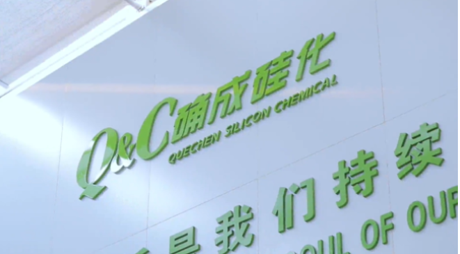 確成硅化學股份有限公司自成立至今，專注于沉淀法二氧化硅產(chǎn)品的研發(fā)、制造和銷售，經(jīng)過20年的發(fā)展，已經(jīng)成為全球主要的二氧化硅產(chǎn)品專業(yè)制造商之一。確成股份擁有從原材料硫酸、硅酸鈉到最終產(chǎn)品二氧化硅的制造產(chǎn)業(yè)鏈，產(chǎn)品主要市場聚焦在橡膠工業(yè)領域的高性能子午線綠色輪胎配套專用材料以及動物營養(yǎng)品領域的動物飼料載體用二氧化硅。此外，確成股份在國內(nèi)外擁有多個生產(chǎn)基地，總產(chǎn)能位列世界第三位，主要客戶包括國際知名輪胎和動物營養(yǎng)品公司。