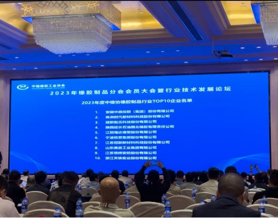 本次大會(huì)上，2023年度全國橡膠制品行業(yè)“十強(qiáng)”企業(yè)名單重磅出爐。名單顯示，安徽中鼎控股(集團(tuán))股份有限公司、株洲時(shí)代新材料科技股份有限公司、建新趙氏科技股份有限公司在2023年的綜合實(shí)力和市場(chǎng)地位上取得了顯著成就，獲得了橡膠制品行業(yè)“十強(qiáng)”企業(yè)前三名的榮譽(yù)。