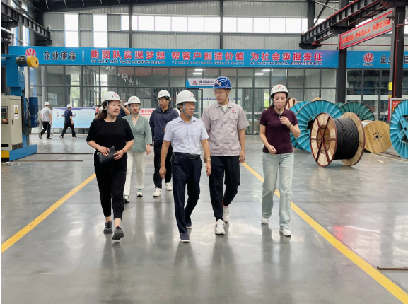 華東電纜表示下半年將集中精力提高產(chǎn)品質(zhì)量，強(qiáng)化風(fēng)險(xiǎn)防控，積極應(yīng)對(duì)市場訂單，全力以赴，確保完成全年經(jīng)營發(fā)展目標(biāo)任務(wù)，進(jìn)一步推動(dòng)經(jīng)濟(jì)實(shí)現(xiàn)有效提升和合理增長。