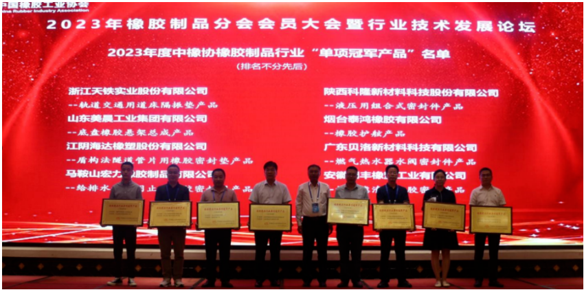 在行業(yè)技術(shù)發(fā)展論壇上，15位嘉賓在橡膠密封、軌道交通、產(chǎn)品檢測、原材料等領(lǐng)域?yàn)榕c會代表做了精彩的報(bào)告。