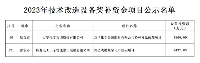 根據(jù)山東省政府《關(guān)于印發(fā)2023年“穩(wěn)中向好、進(jìn)中提質(zhì)”政策清單(第一批)的通知》(魯政發(fā)〔2022〕18號(hào))以及《關(guān)于組織申報(bào)2023年技術(shù)改造設(shè)備獎(jiǎng)補(bǔ)資金項(xiàng)目的通知》(魯工信規(guī)〔2023〕109號(hào))的要求，山東省工業(yè)和信息化廳積極組織并展開了2023年技術(shù)改造設(shè)備獎(jiǎng)補(bǔ)資金項(xiàng)目評(píng)審工作。在經(jīng)歷了企業(yè)申報(bào)、各市推薦、財(cái)務(wù)審核、專家評(píng)審、部門核查等多個(gè)環(huán)節(jié)后，最終擬定了包含216個(gè)項(xiàng)目的2023年技術(shù)改造設(shè)備獎(jiǎng)補(bǔ)資金項(xiàng)目名單。