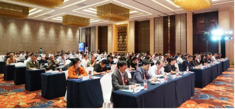 中國涂料工業(yè)協(xié)會副會長丁艷梅也向大會致以祝賀，肯定了山東省涂料行業(yè)協(xié)會多年來為會員和社會服務的不懈努力。她指出，希望新一屆領(lǐng)導團隊能團結(jié)一致，繼續(xù)推動山東省涂料行業(yè)迎來新的輝煌。接著她向大會做了《中國涂料行業(yè)發(fā)展現(xiàn)狀及趨勢分析》的主題報告。報告中，她總結(jié)了中國宏觀經(jīng)濟與涂料、顏料行業(yè)發(fā)展概況，并對全球涂料市場的現(xiàn)狀和發(fā)展趨勢進行了展望。