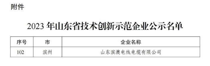 據(jù)悉，山東濱澳電線電纜有限公司先后獲得國家級高新技術(shù)企業(yè)、山東省企業(yè)技術(shù)中心、省級專精特新中小企業(yè)、濱州市科技型中小企業(yè)等多項榮譽，并擁有十余項專利成果。公司目前擁有超過120名員工，其中有20余名從事研發(fā)技術(shù)工作。其全國工業(yè)產(chǎn)品生產(chǎn)許可證證書以及強大的技術(shù)創(chuàng)新能力、健全的質(zhì)量保障體系和科學的管理模式為企業(yè)不斷壯大提供了持續(xù)動力。