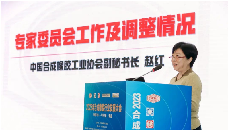 中國合成橡膠工業(yè)協(xié)會秘書長趙紅詳細介紹了專家委員會的工作情況和新一屆專家委員會的組成。會長梁愛民為專家委員會主任委員張立群院士頒發(fā)了聘書，標志著專家委員會的正式成立。