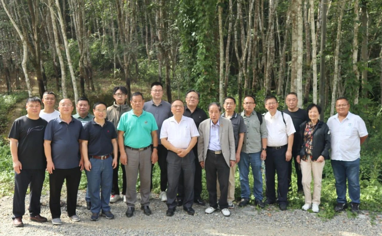 通過(guò)這次活動(dòng)，與會(huì)單位收獲頗豐。首先是增強(qiáng)了大家的自信并認(rèn)清了合作的重要性。而后項(xiàng)目完成推廣，對(duì)實(shí)現(xiàn)年減少二氧化碳排放量約219萬(wàn)噸、國(guó)家碳中和戰(zhàn)略具有重大作用。最后也希望得到國(guó)家相關(guān)部門(mén)的關(guān)注和支持。