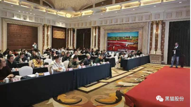 各參會(huì)嘉賓齊聚一堂，會(huì)場(chǎng)氣氛熱烈，會(huì)談內(nèi)容豐富。通過(guò)本次推介會(huì)，黑貓股份與參會(huì)企業(yè)之間的距離得以拉近，工作思路也得以拓寬，為公司未來(lái)的高質(zhì)量蓬勃發(fā)展奠定了堅(jiān)實(shí)基礎(chǔ)。