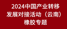 2024中國(guó)產(chǎn)業(yè)轉(zhuǎn)移發(fā)展對(duì)接活動(dòng)（云南）橡膠專(zhuān)題
