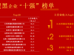 2024年十強炭黑企業(yè)，公布！