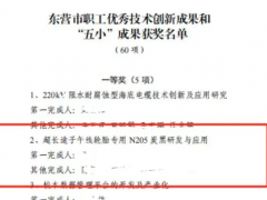 耐斯特超長途子午線輪胎專用N205炭黑項目榮獲桂冠