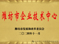 優(yōu)盛輪胎榮膺濰坊市企業(yè)技術(shù)中心稱(chēng)號(hào)