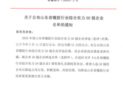 山東省橡膠50強企業(yè)榜單正式揭曉