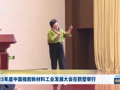 2025年度橡膠新材料工業(yè)發(fā)展大會在鶴壁市舉行