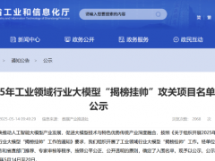 山東工業(yè)大模型攻關(guān)，輪胎行業(yè) 5 項目成功入圍