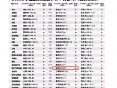回力輪胎躋身國(guó)產(chǎn)輪胎品牌第二強(qiáng)