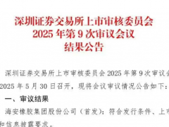 海安橡膠深交所過審，資本市場新程啟航