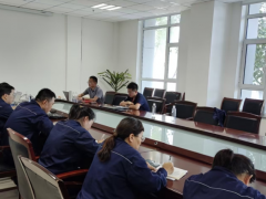 金獅炭黑齊河工廠通過(guò)玲瓏輪胎多維審核